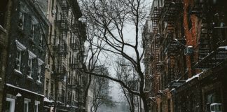 Samojezdne podnośniki teleskopowe