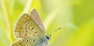 Ogród jako miejsce wypoczynku