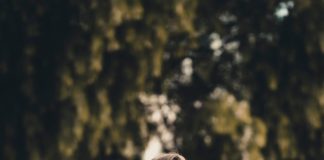 dziewczyna w okularach