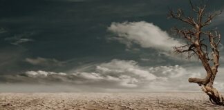 Co to znaczy martwe pole?