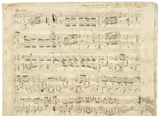 Czy warto kupić poloneza?