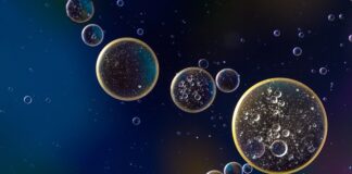 Jak sprawdzić stan oleju w skrzyni biegów?