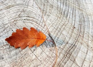 Czy można jeździć bez pierścienia centrującego?