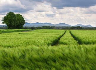 Jak sprawdzić rozstaw śrub w feldze?