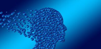 Gdzie można opróżnić toaletę z kampera?