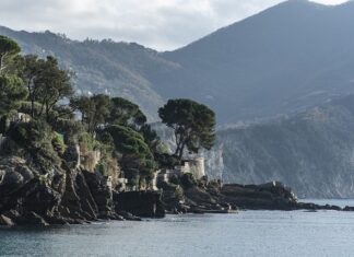 Ile kosztuje godzina pracy bizona?