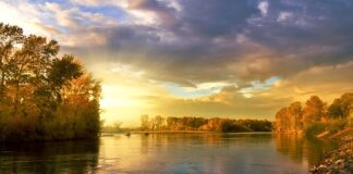 Czy przyczepa musi mieć koło zapasowe?