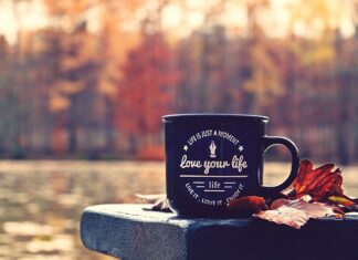 Jak obliczyć moment obrotowy przekładni?