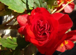 Jaki gwint jest w Ukośnicy?