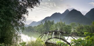 Ile kosztuje położenie tarasu z desek?