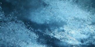 Co pochłania wilgoć w lodówce?