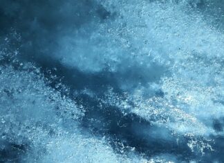 Co pochłania wilgoć w lodówce?