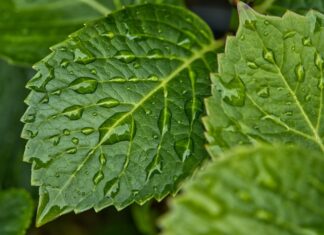 Jak znaleźć źródło wilgoci?