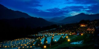 Co dać pod deski tarasowe?