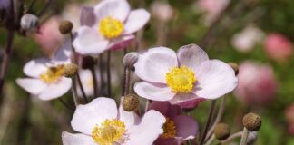 Co to znaczy kompozyty?