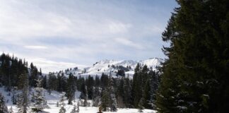 Ile mleka odciągnąć na jedno karmienie?